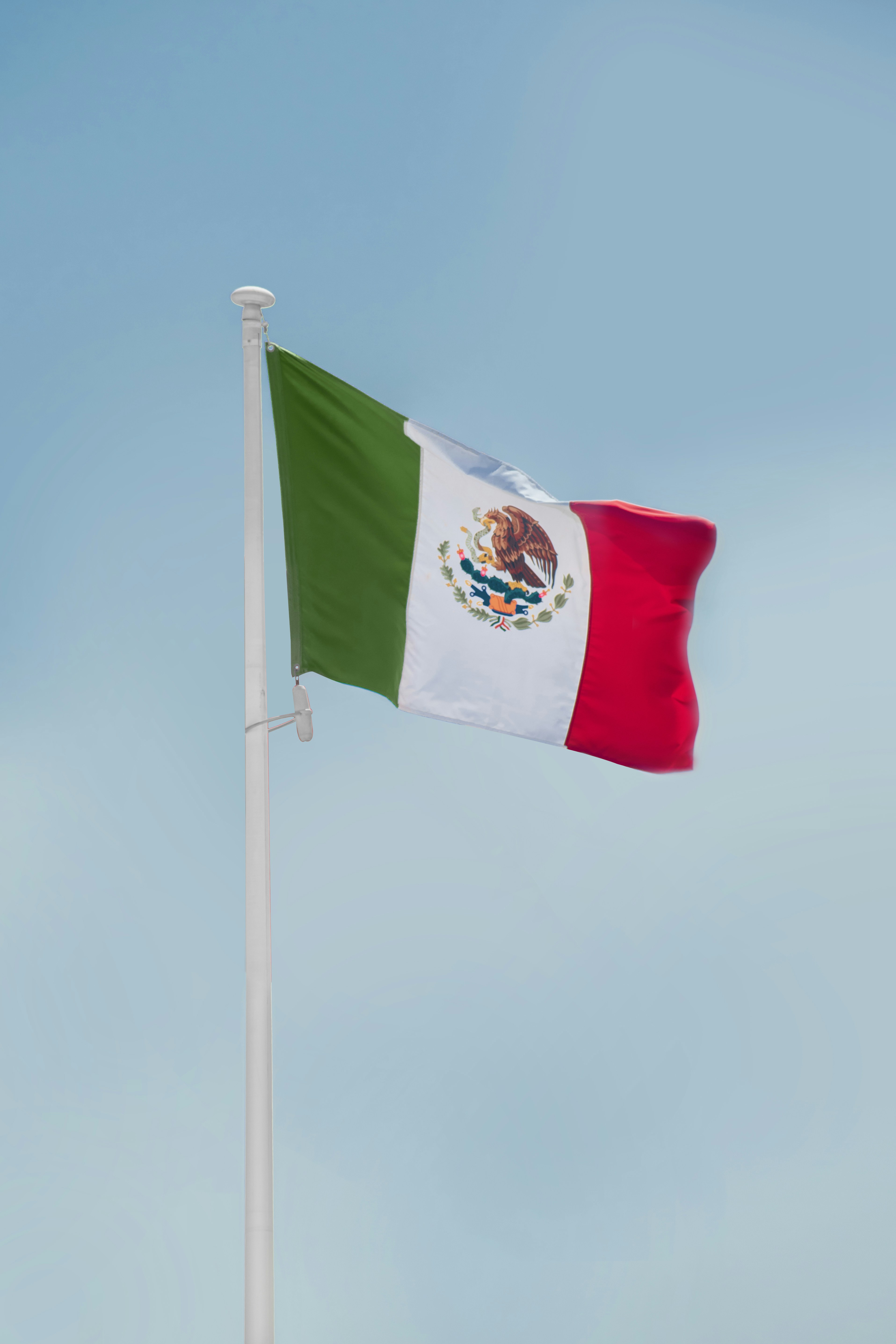Mexico National Flag